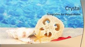  Presentation with color border bottom - Beautiful presentation theme featuring lufe - loofah on color background backdrop and a  colored foreground