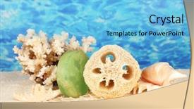  Presentation with skin color natural - Audience pleasing slides consisting of lufe - loofah on color background backdrop and a  colored foreground