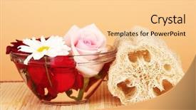  Presentation with skin color natural - Theme enhanced with lufe - loofah on color background background and a  colored foreground