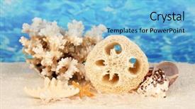  Presentation with angled loofah sponge gourd - Slide deck consisting of lufe - loofah on color background background and a  colored foreground