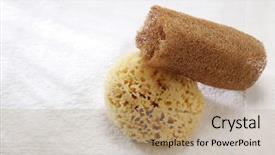  Presentation with sea - Amazing theme having lufe - lufa sponge and sea sponge backdrop and a  colored foreground