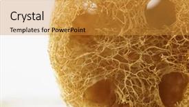  Presentation with cosmetic surgery close up - PPT layouts with lufe - texture of a close up background and a  colored foreground