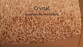  Presentation with dry - PPT theme enhanced with lufe - texture of the dry loofah background and a  colored foreground