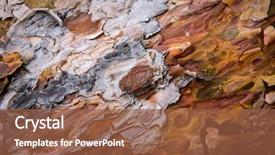  Presentation with lumber - Amazing slide set having nature lumber - pine tree cortex surface backdrop and a tawny brown colored foreground