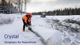  Presentation with winter forest night - Amazing PPT theme having lumberjack forest-worker in action backdrop and a lemonade colored foreground