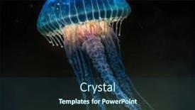  Presentation with luminous - Slides consisting of luminous-jellyfish-swim-deep background and a ocean colored foreground