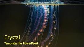  Presentation with luminous - Presentation design with luminous-jellyfish-swim-deep background and a wine colored foreground