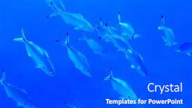  Presentation with lunar - 