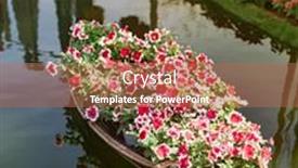  Presentation with lunar new year - Slides enhanced with lunar-new-year-flower-market background and a coral colored foreground