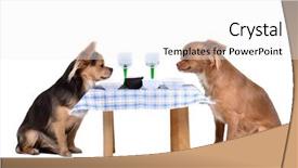  Presentation with dog park dogs plays - Colorful slide set enhanced with lunch invitation - two chihuahua dogs backdrop and a white colored foreground
