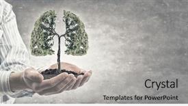  Presentation with green tree - Audience pleasing slides consisting of lung - close up of hand holding backdrop and a light gray colored foreground