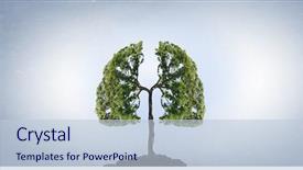  Presentation with growing tree - Audience pleasing PPT theme consisting of lung - conceptual image with green tree backdrop and a lemonade colored foreground