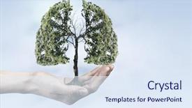  Presentation with lung - Cool new PPT theme with lung - green eco life backdrop and a sky blue colored foreground