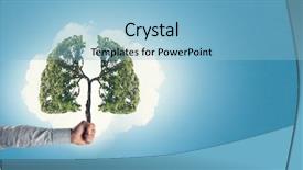  Presentation with green tree - PPT theme featuring lunhd - close up of hand holding background and a light blue colored foreground