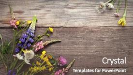  Presentation with wedding bells - Theme with lupine dandelions thyme mint bells background and a gray colored foreground