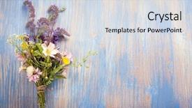  Presentation with blue mint - PPT theme with lupine dandelions thyme mint bells background and a sky blue colored foreground