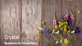  Presentation with rustic wood and flowers - Amazing presentation design having lupine dandelions thyme mint bells backdrop and a coral colored foreground