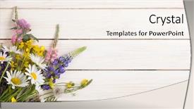  Presentation with wild flower in field of daisies - Colorful presentation theme enhanced with lupine dandelions thyme mint bells backdrop and a sky blue colored foreground