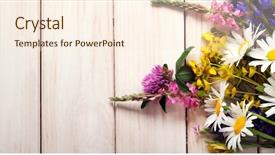  Presentation with wedding bells - Colorful theme enhanced with lupine dandelions thyme mint bells backdrop and a cream colored foreground