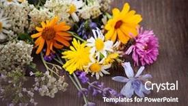  Presentation with blue mint - Cool new slide set with lupine dandelions thyme mint bells backdrop and a tawny brown colored foreground