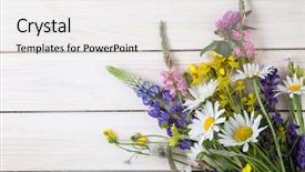  Presentation with rustic wood and flowers - Theme with lupine dandelions thyme mint bells background and a  colored foreground