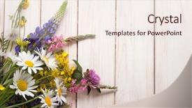  Presentation with rustic wood and flowers - Colorful PPT theme enhanced with lupine dandelions thyme mint bells backdrop and a  colored foreground