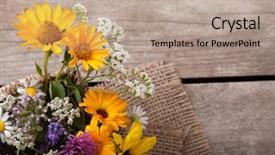  Presentation with grunge flower - Presentation design featuring lupine dandelions thyme mint bells background and a  colored foreground