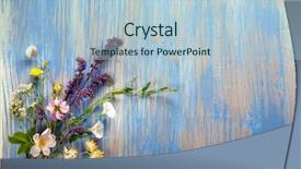  Presentation with rustic wood and flowers - Slide deck featuring lupine dandelions thyme mint bells background and a light blue colored foreground