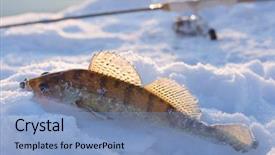  Presentation with last - Theme consisting of lure is lying on ice background and a light blue colored foreground