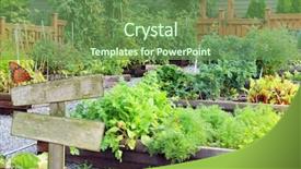  Presentation with community garden - Cool new presentation with lush and organic community vegetable backdrop and a tawny brown colored foreground
