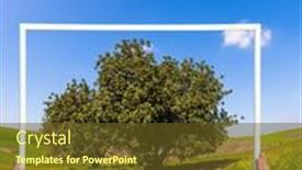  Presentation with sun desert - Colorful slide deck enhanced with lush-blooming-acacia backdrop and a tawny brown colored foreground