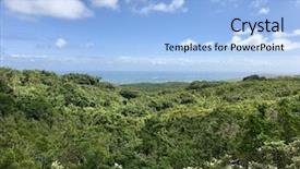  Presentation with tropical forest - Theme featuring lush coastal tropical forest background and a light blue colored foreground