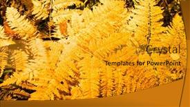  Presentation with fern - PPT layouts having fall forest with many fern background and a gold colored foreground