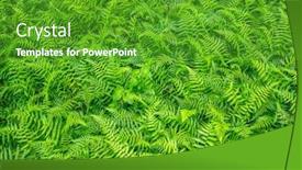  Presentation with fern - PPT theme featuring lush-fern-plants background and a shamrock green colored foreground