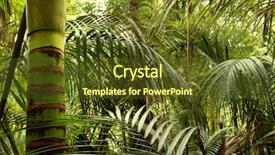  Presentation with mango fruit shake tropical - Beautiful PPT theme featuring lush foliage in tropical jungle backdrop and a  colored foreground