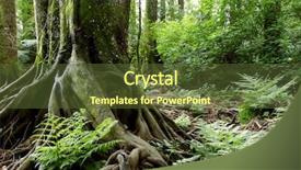  Presentation with tropical forest - Amazing PPT theme having lush foliage in tropical jungle backdrop and a tawny brown colored foreground