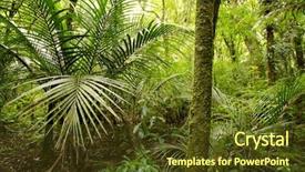  Presentation with jungle - Theme featuring lush foliage in tropical jungle background and a tawny brown colored foreground