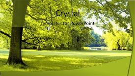  Presentation with spring - Slide set with lush forest in spring time background and a gold colored foreground