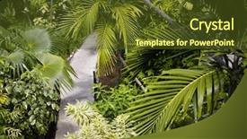  Presentation with house key - PPT theme enhanced with lush gardens at the hemingway background and a  colored foreground