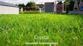  Presentation with grass - PPT layouts having lush-grass-in-the-garden background and a tawny brown colored foreground