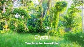  Presentation with green industries plant - Presentation theme with lush green bali nature plants background and a  colored foreground
