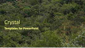  Presentation with mountain - Presentation design consisting of lush-green-canopy-over background and a tawny brown colored foreground