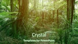  Presentation with green foliage - Colorful presentation theme enhanced with lush green foliage in tropical backdrop and a tawny brown colored foreground