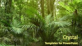  Presentation with green foliage - Slide set featuring lush green foliage in tropical background and a tawny brown colored foreground