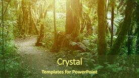  Presentation with green foliage - Colorful presentation theme enhanced with lush green foliage in tropical backdrop and a tawny brown colored foreground