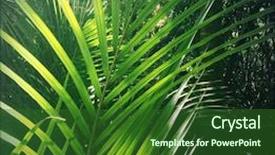  Presentation with green foliage - Colorful slide set enhanced with lush green foliage in tropical backdrop and a forest green colored foreground