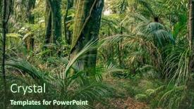  Presentation with green foliage - Presentation theme consisting of lush-green-foliage-in-tropical background and a tawny brown colored foreground