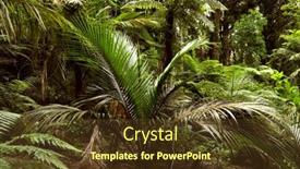  Presentation with green foliage - 