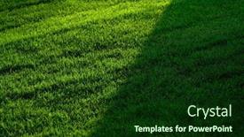  Presentation with green lawn - Theme with lush-green-grass-growing-long background and a forest green colored foreground