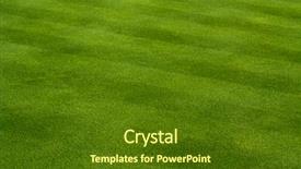  Presentation with green lawn - Audience pleasing PPT layouts consisting of lush green grass with lawn backdrop and a tawny brown colored foreground